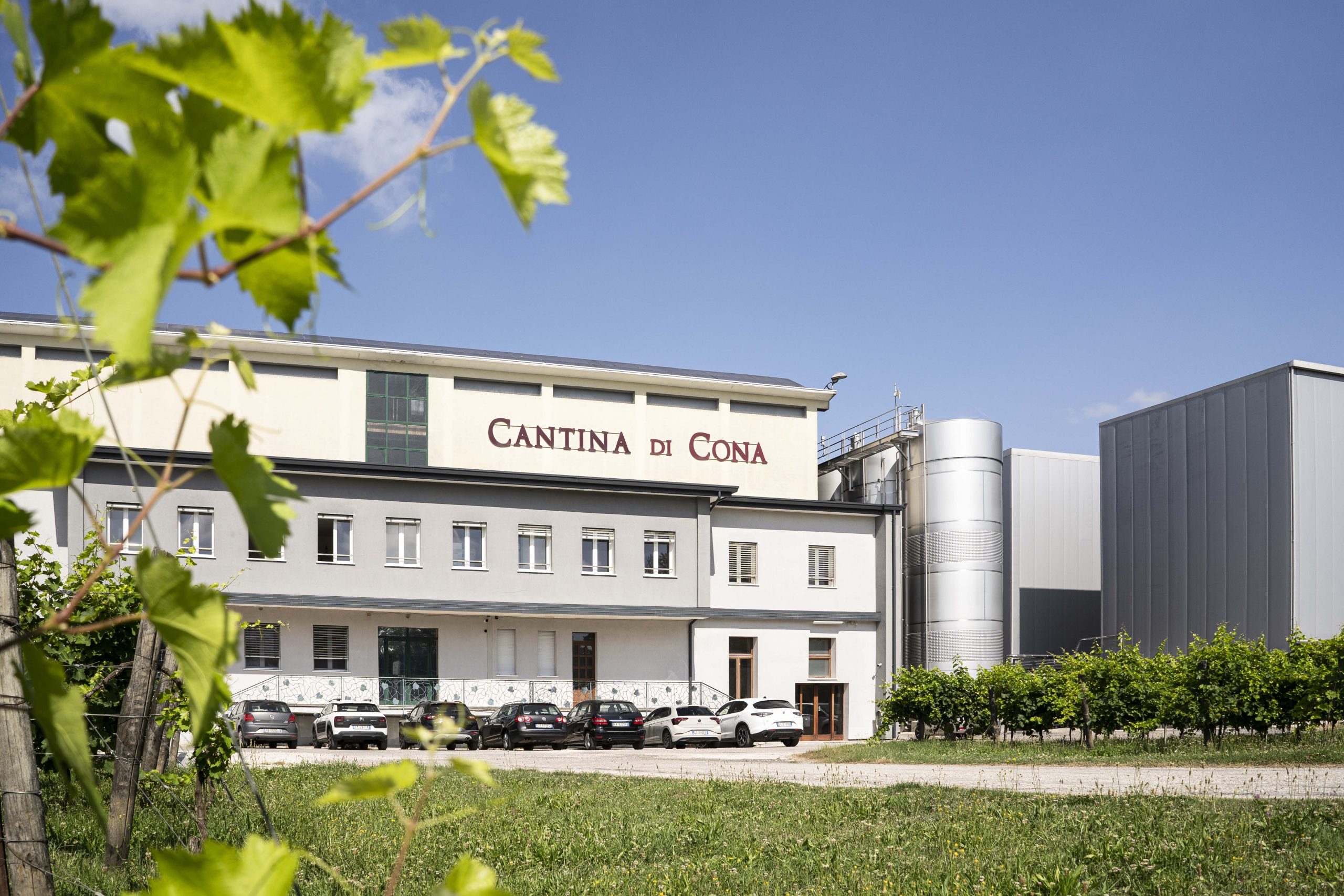 CANTCONA15626_28